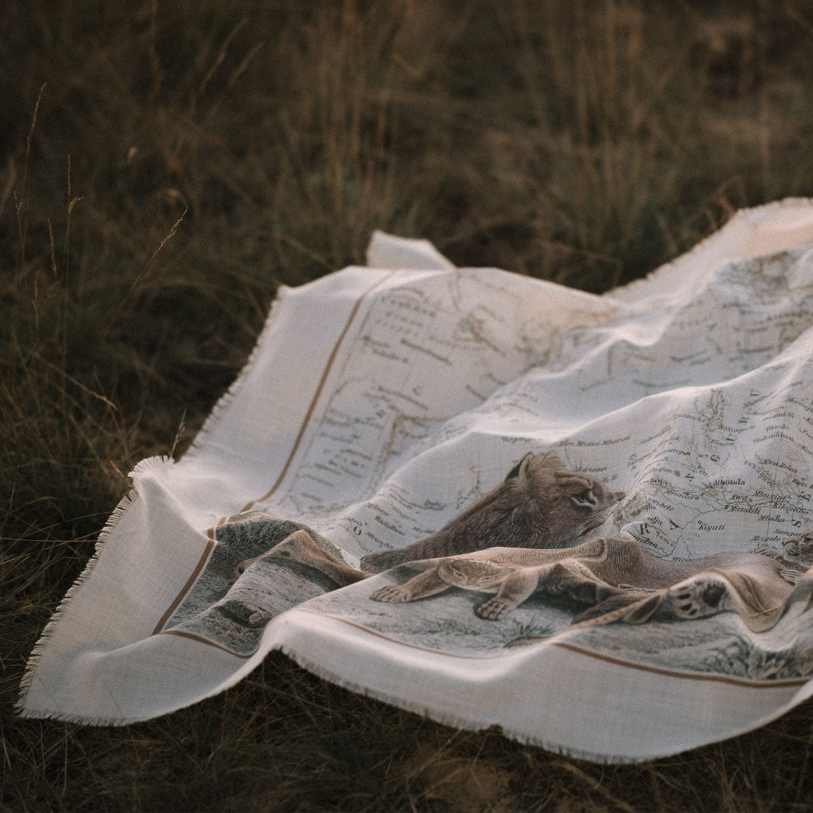 Maouli shawl wool and silk Neema lying in high grass