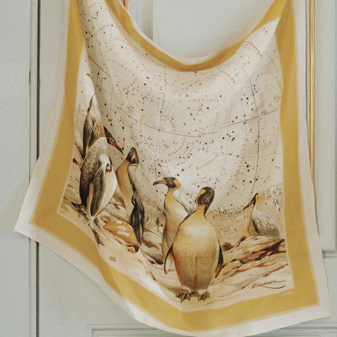 FOULARD EN TWILL « ERNEST »