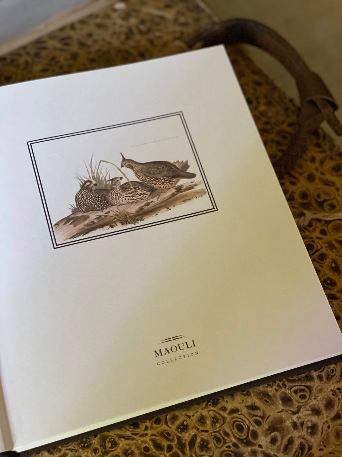 TRAVEL NOTEBOOK « PEDRO »