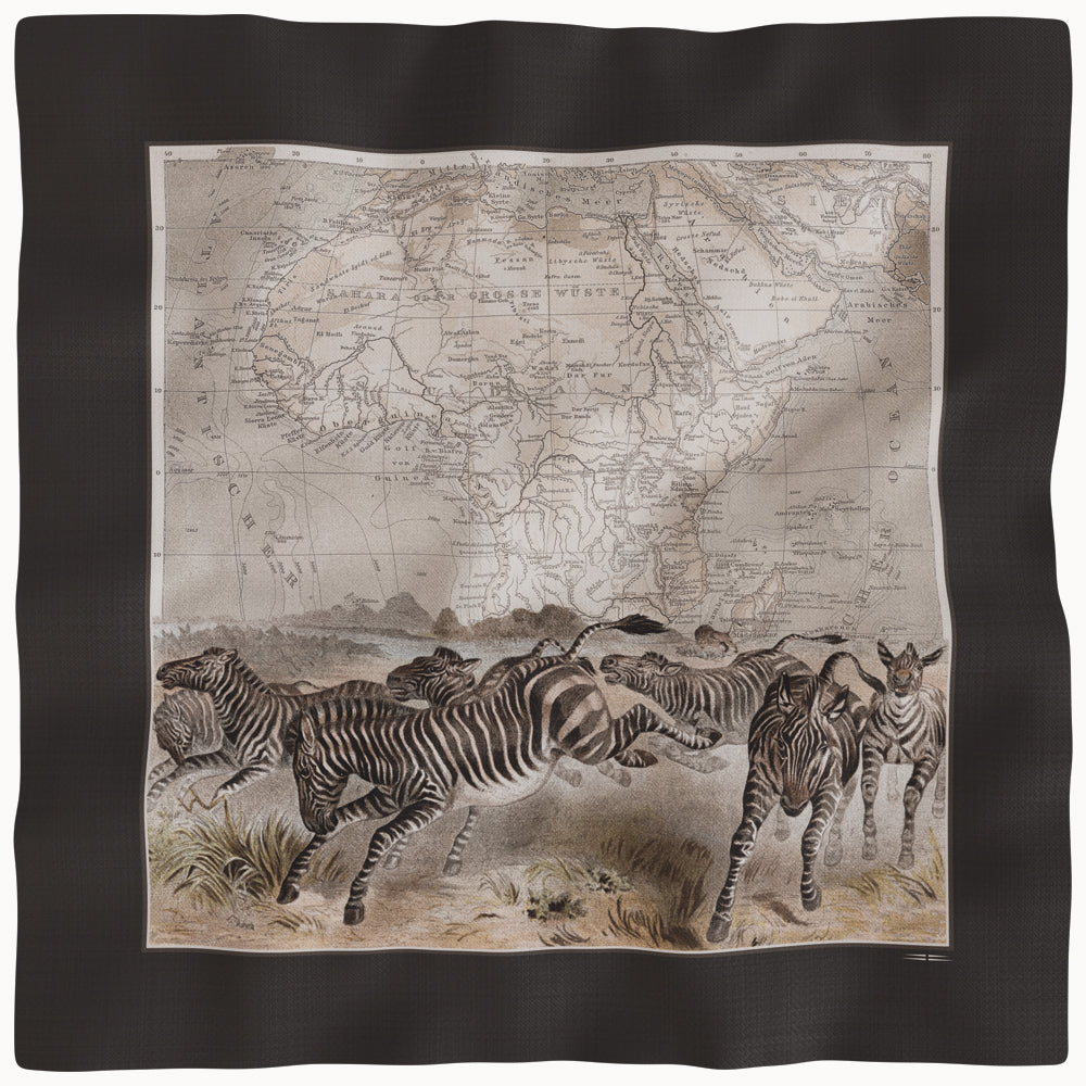 CASHMERE & SILK SHAWL « ZAWADI »