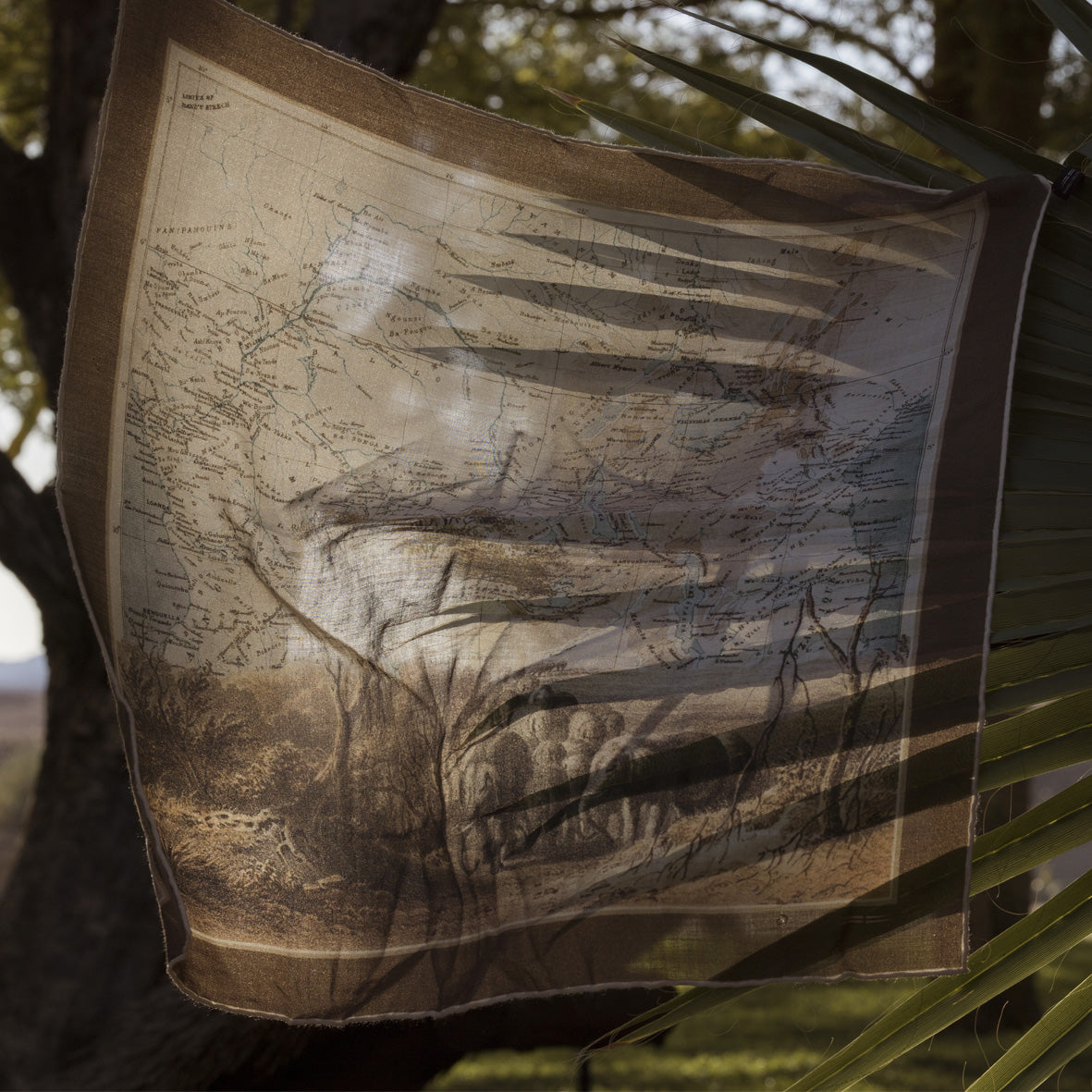 CASHMERE & SILK SCARF « KILIMBE »