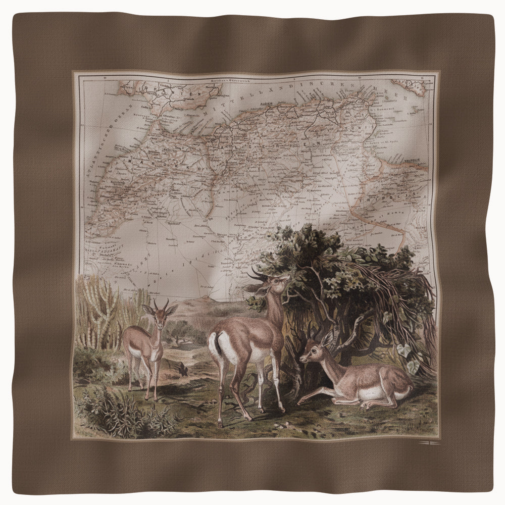 WOOLEN SHAWL « SAMIYA »