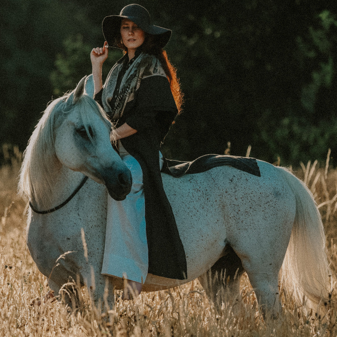 CASHMERE & SILK SHAWL « ZAWADI »